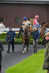 240424-Race 2-Restless Prince-7761