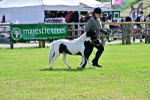 SBM_03413