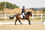 SBM_002564