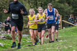 Dovedale Dash-975