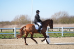 SBM_003369