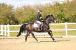 SBM_002661