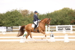 SBM_013796