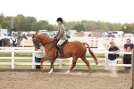 SBM_02923