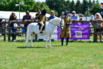 SBM_05919