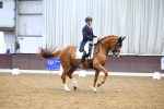 SBM_008984