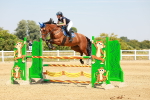 SBM_002097
