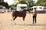 SBM_08146