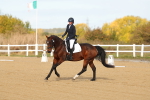 SBM_009261