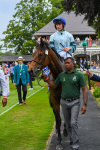 170623-Race 3-Quickthorn-0494