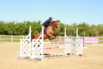 SBM_001279