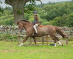 Dunblane show-639