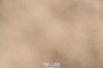 240514A-162738-00044