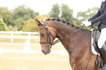 SBM_000791