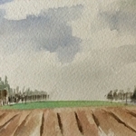 Arable fields, Suffolk