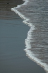 Wave Line