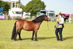 SBM_00610