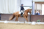SBM_000904