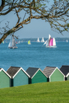 z3467 Round the Island Race, Gurnard