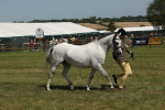 SBM_06770