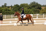 SBM_005739