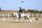 SBM_013141