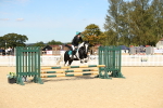 SBM_20959