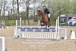 CLASS 23 SUN 5 Year Old Show Jumping portfolio