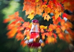 Hummingbird Feeder in the Leaves