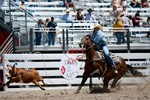 July 20th Rodeo Performance portfolio