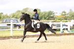SBM_000519