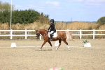 SBM_013853