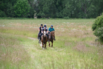 Camera 1 Gallops portfolio