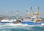 060617 BRIXHAM TRAWLER RACE IMG_9515