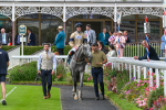270724-Race 4-Greydreambeliever-7315