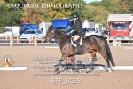BPP_8028