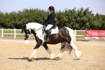 SBM_003688