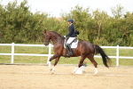 SBM_018453