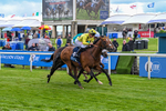 Race 6 4.40pm British Stallion Studs EBF Westow Stakes portfolio
