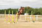 SBM_018382