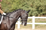 SBM_018686