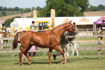 SBM_09068