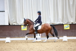 Class 4 Novice 4 portfolio