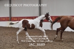 JAC_6689