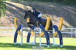 260703A-175640-10770