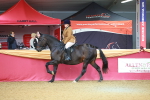 SBM_09512