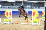SBM_000537