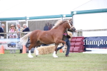 SBM_09759