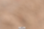 240121A-103604-00446