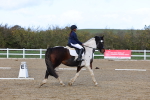 SBM_002229